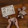 PUZZLE 3D • Projecteur Films