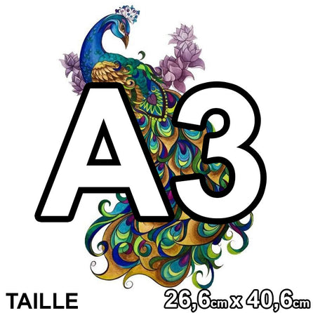 PUZZLE 2D • Paon Majestueux