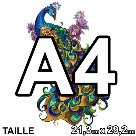 PUZZLE 2D • Paon Majestueux