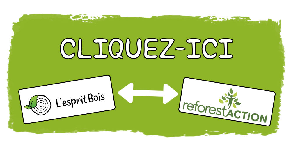 L'esprit Bois plante des arbres avec Reforest'Action
