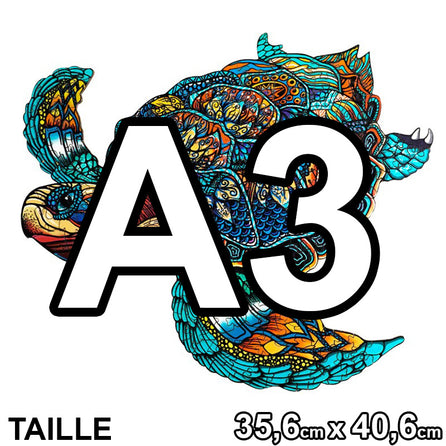 PUZZLE 2D • Tortue Tropicale
